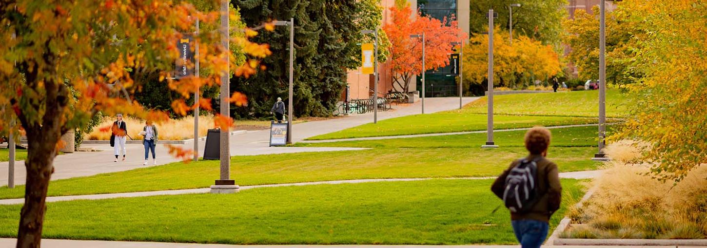 Students walking on the campus mall during fall.