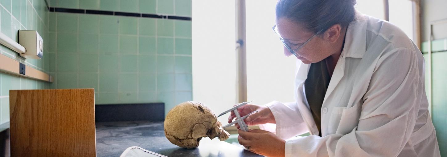 Kate Kolpan studying a skull.